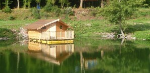 Ferienhütte (Ariel)