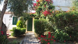 A pathway leading to a building with green shutters, surrounded by lush greenery and red flowers. - Residence Alba (Vieste)