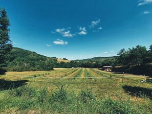 Exterior - Camping des vignes (Dun)