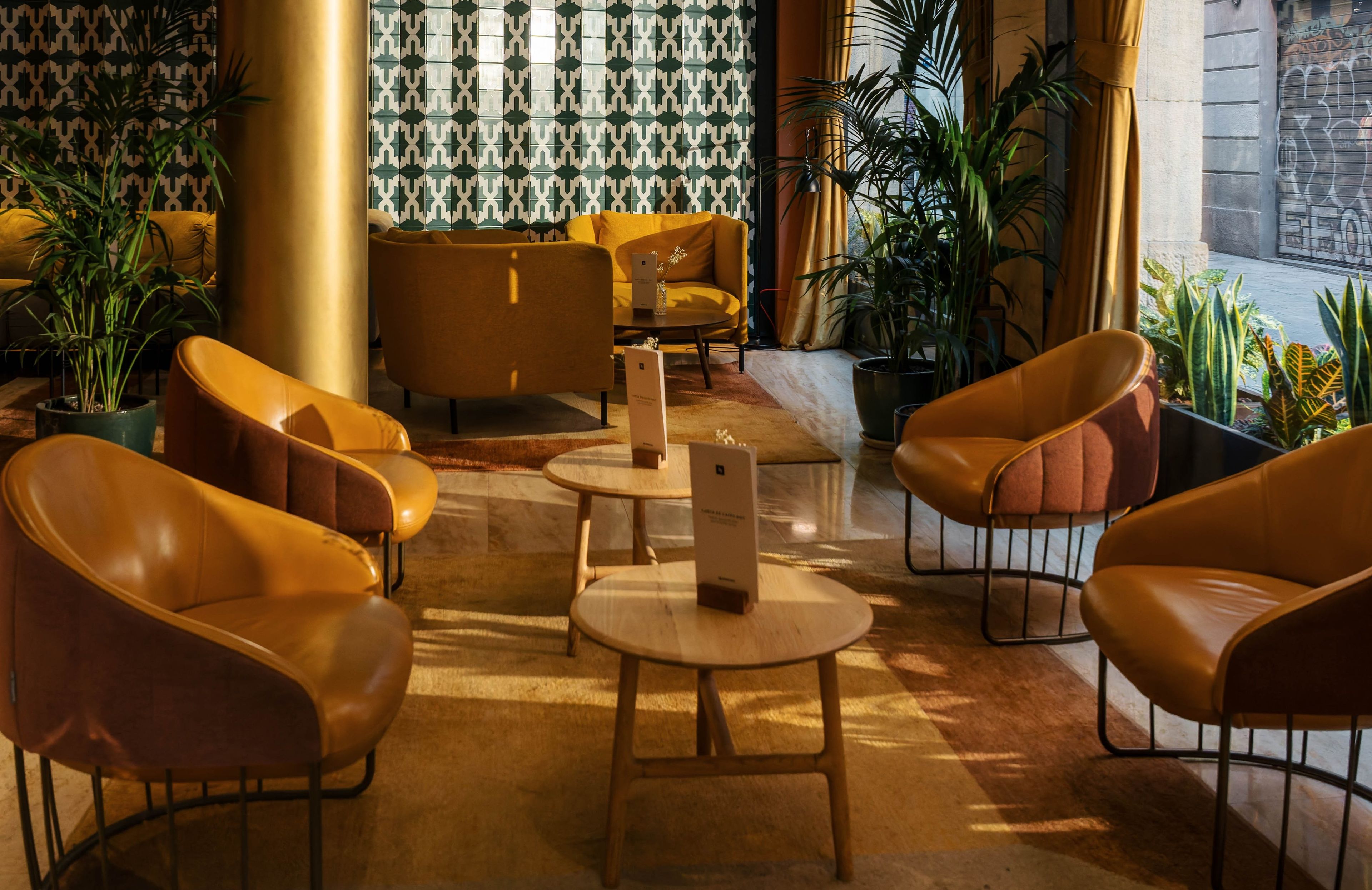 A modern lounge area with leather armchairs, a coffee table, and potted plants.