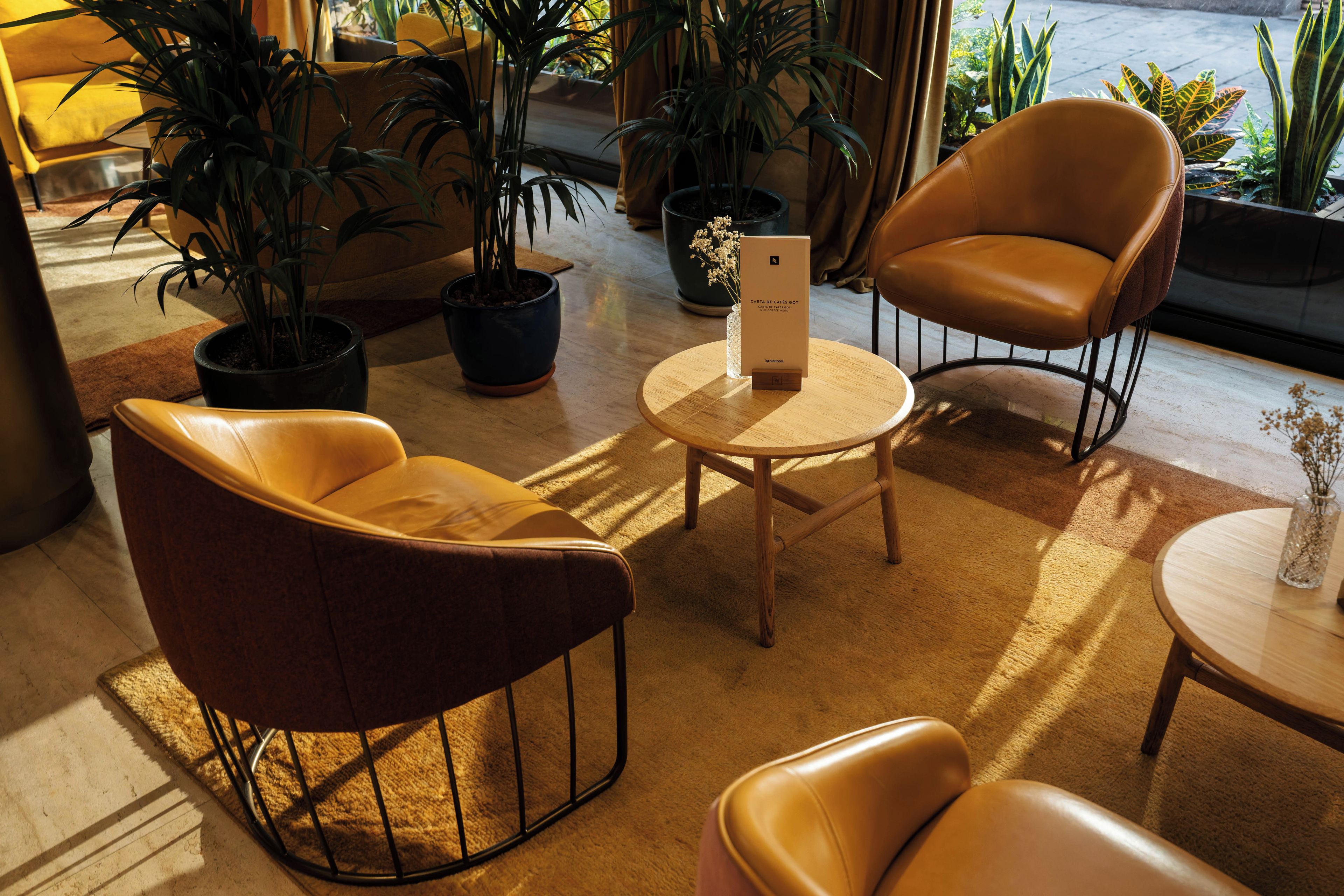 A seating area with two leather chairs and a small round table, surrounded by potted plants.