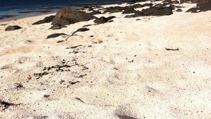 A beach with scattered rocks and a clear sky. - Cosy sea View Cottage Isle of Skye (Glendale)