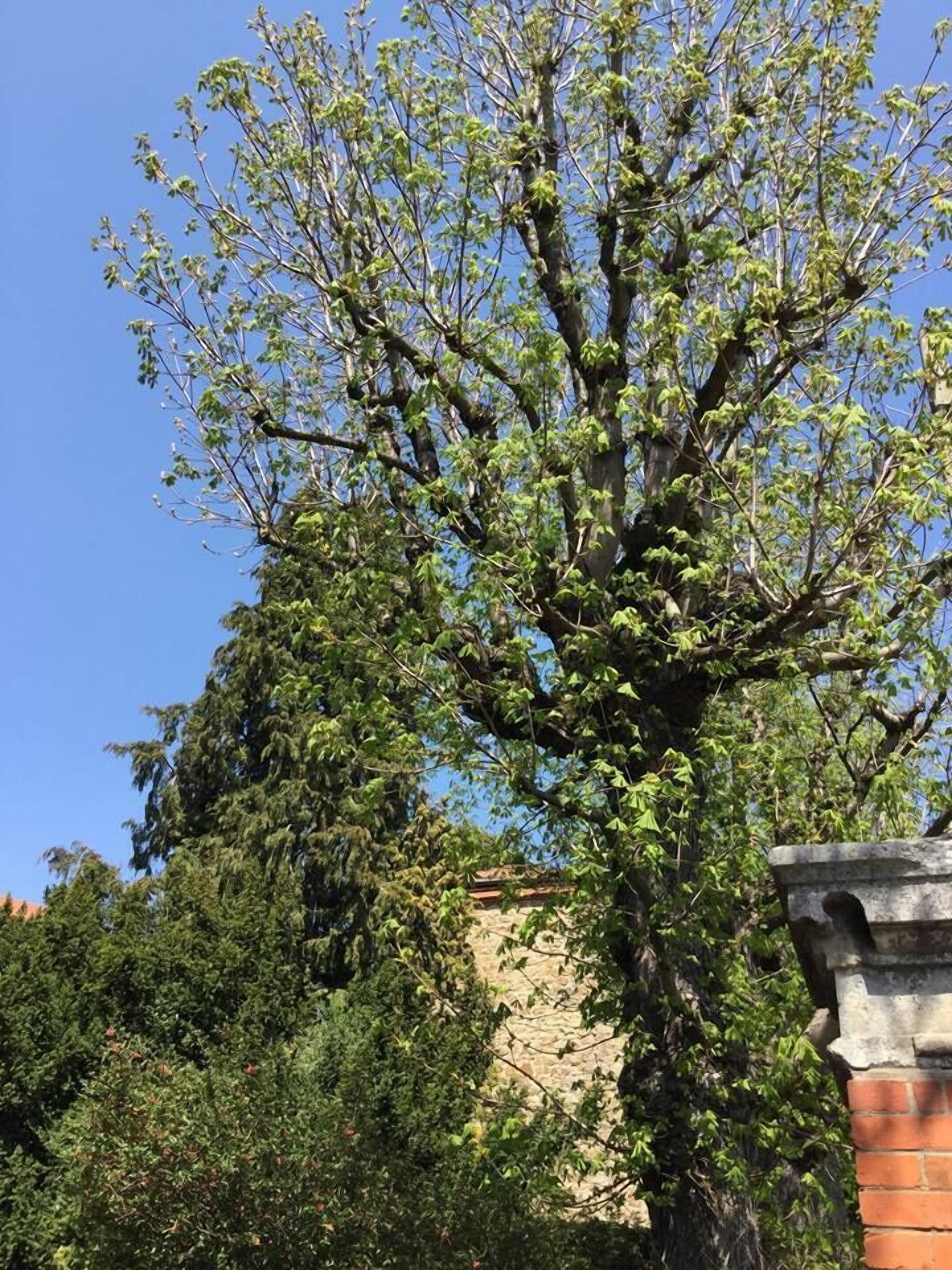 외관