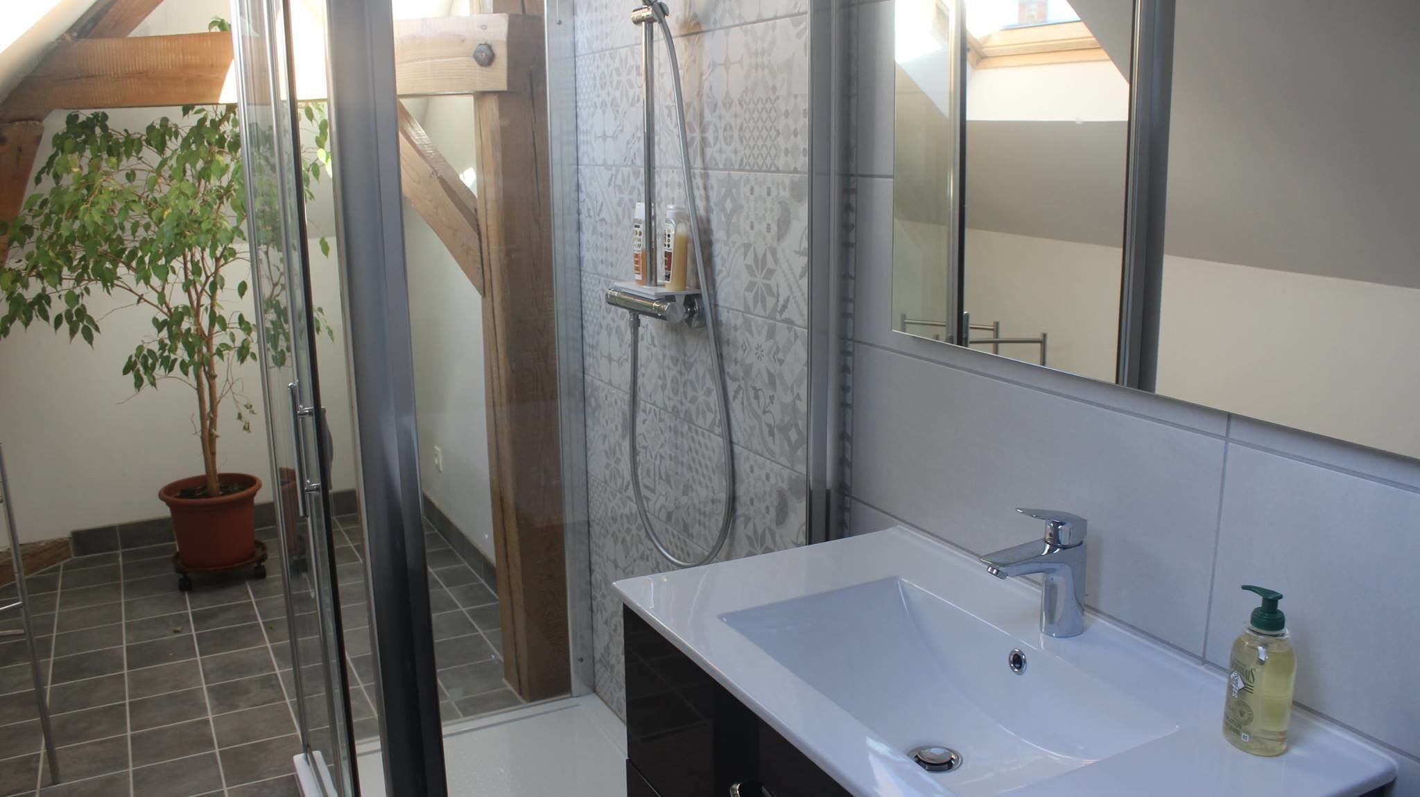 Shower, free toiletries, hair dryer, slippers
