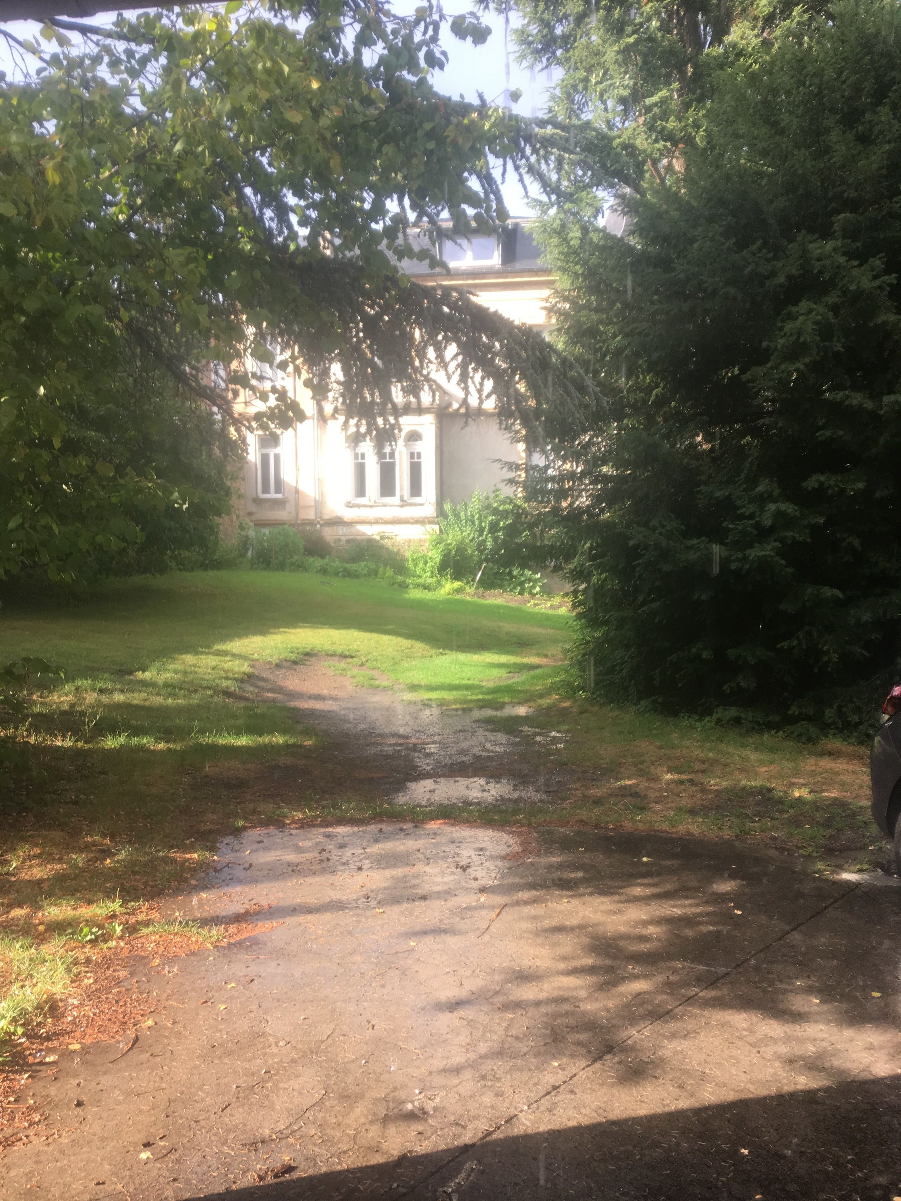 A paved driveway leading to a building with a traditional facade, surrounded by lush greenery.