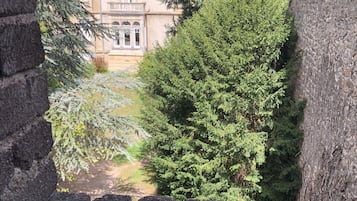 Vista al jardĂn