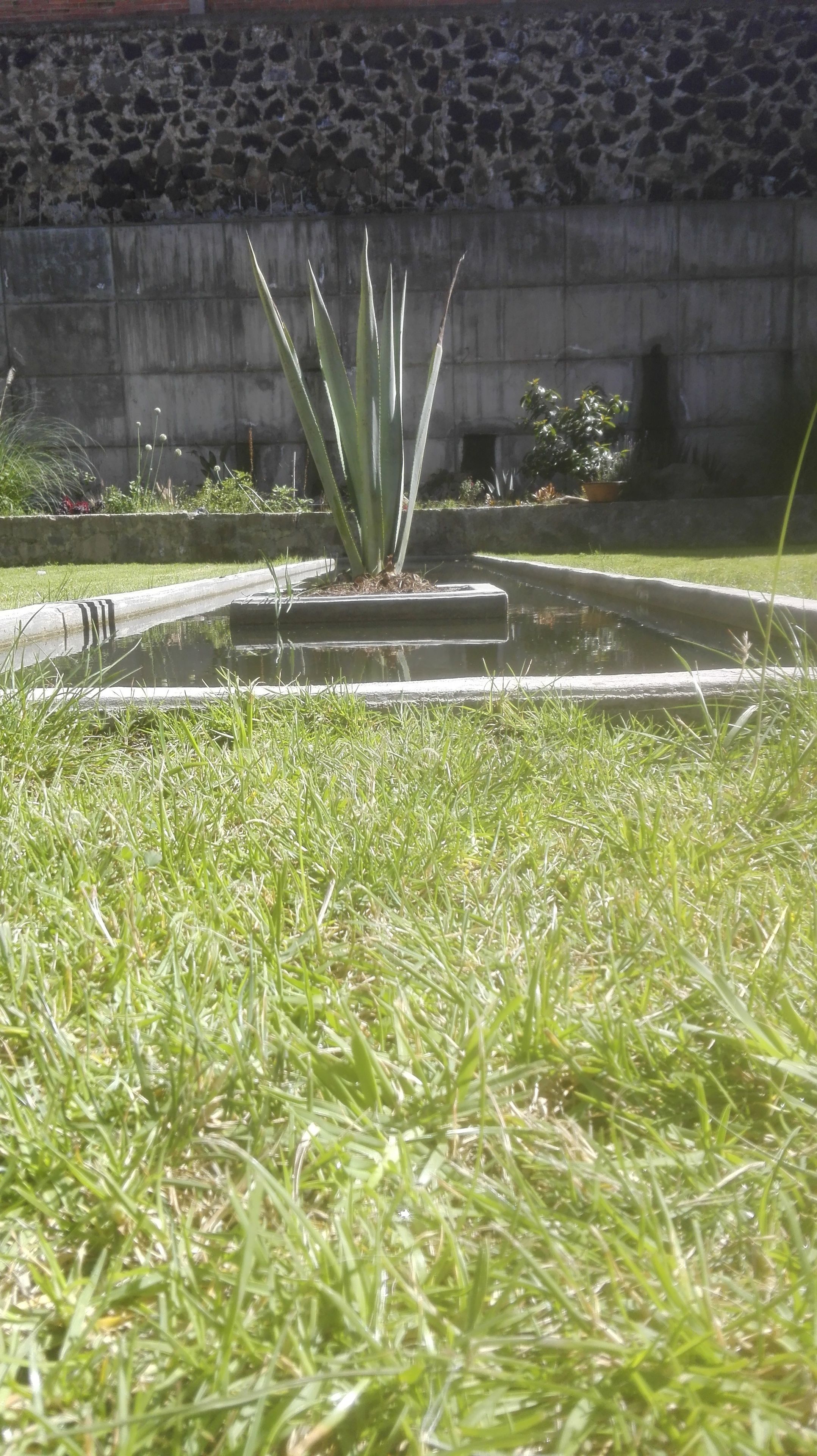 Un giardino con una fontana al centro, circondato da erba e piante.