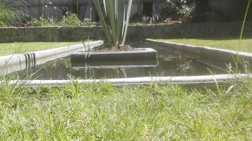 Un giardino con una fontana al centro, circondato da erba e piante.