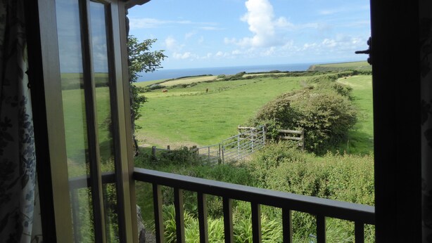 View from room