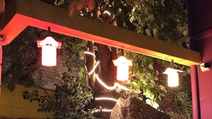 An outdoor garden area with a stone wall, potted plants, and a large black lantern. - The Zanadu İstanbul (Istanbul)
