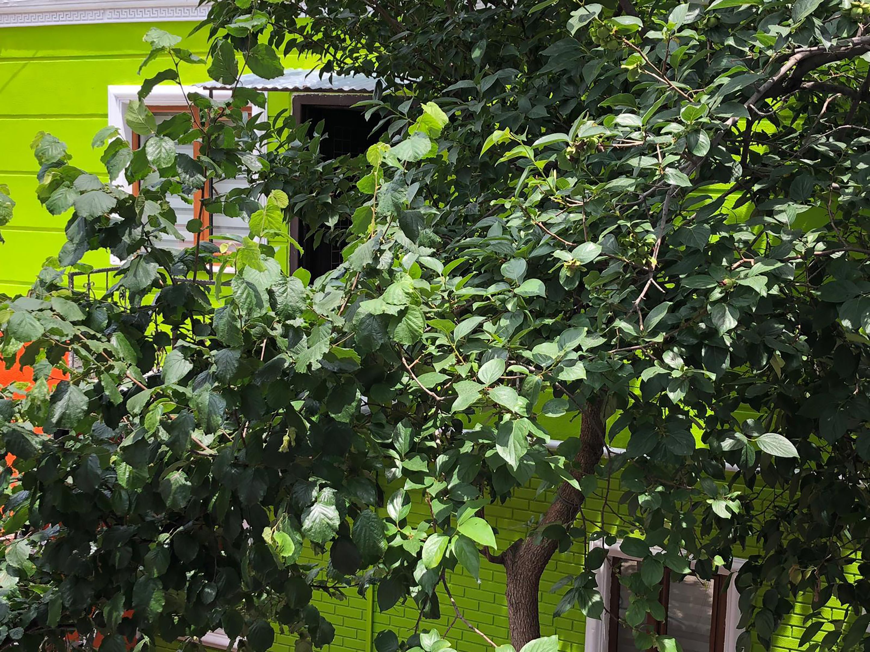 Foto - The Zanadu İstanbul