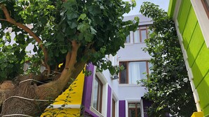 A tree with green leaves in front of a building with purple and yellow walls. - The Zanadu İstanbul (Istanbul)
