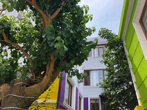 المنشأة من الخارج