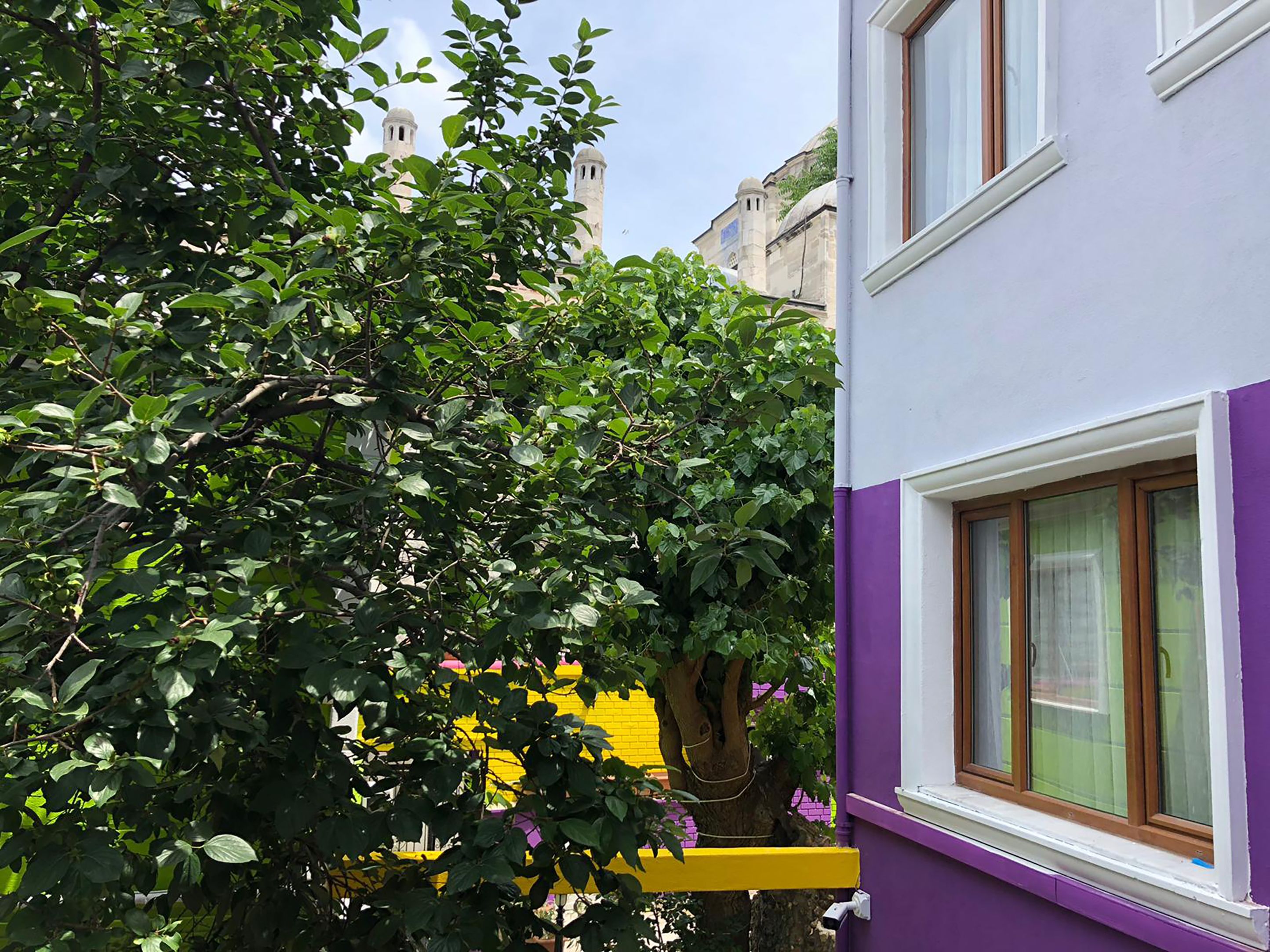 A building with a purple exterior and a window with a white frame.