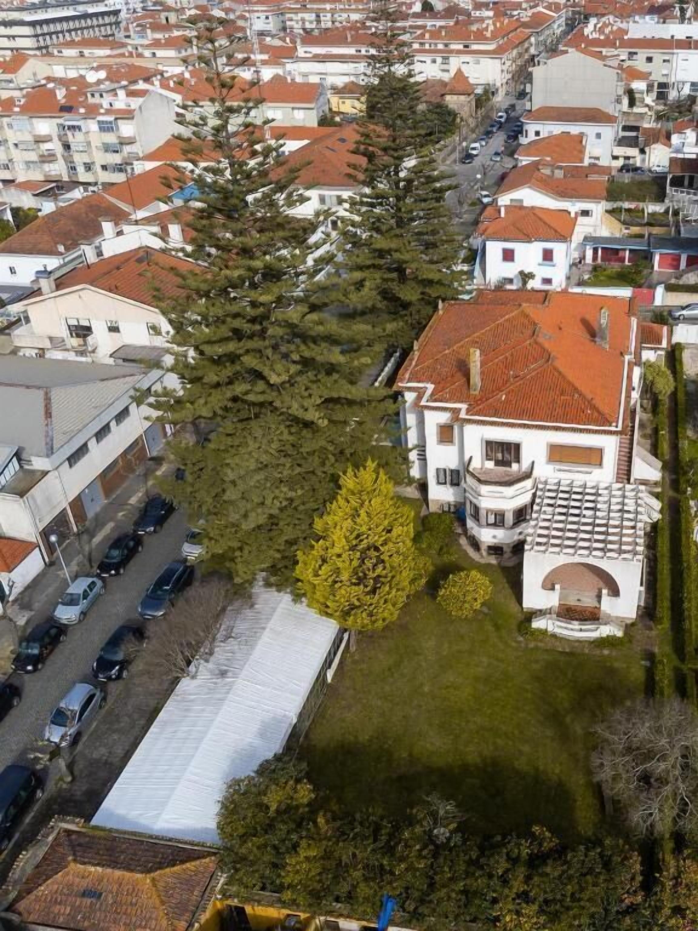 An aerial view of a residential area with a prominent tree, a white building with a red roof, and a parking lot.