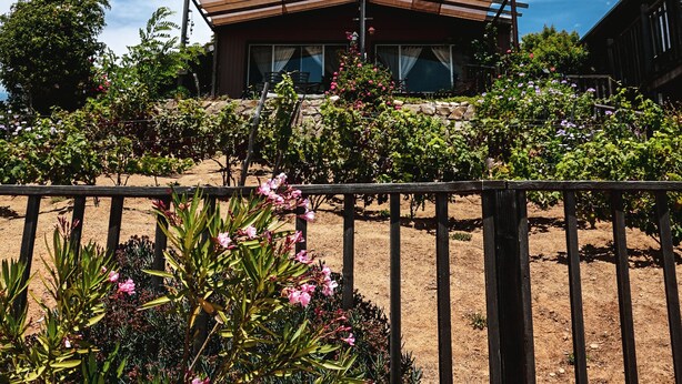 A modern house with a wooden deck, surrounded by a garden with pink flowers. - Posada San Antonio (Valle de Guadalupe)