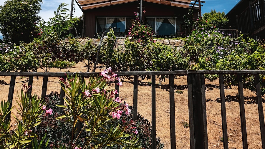 Posada San Antonio
