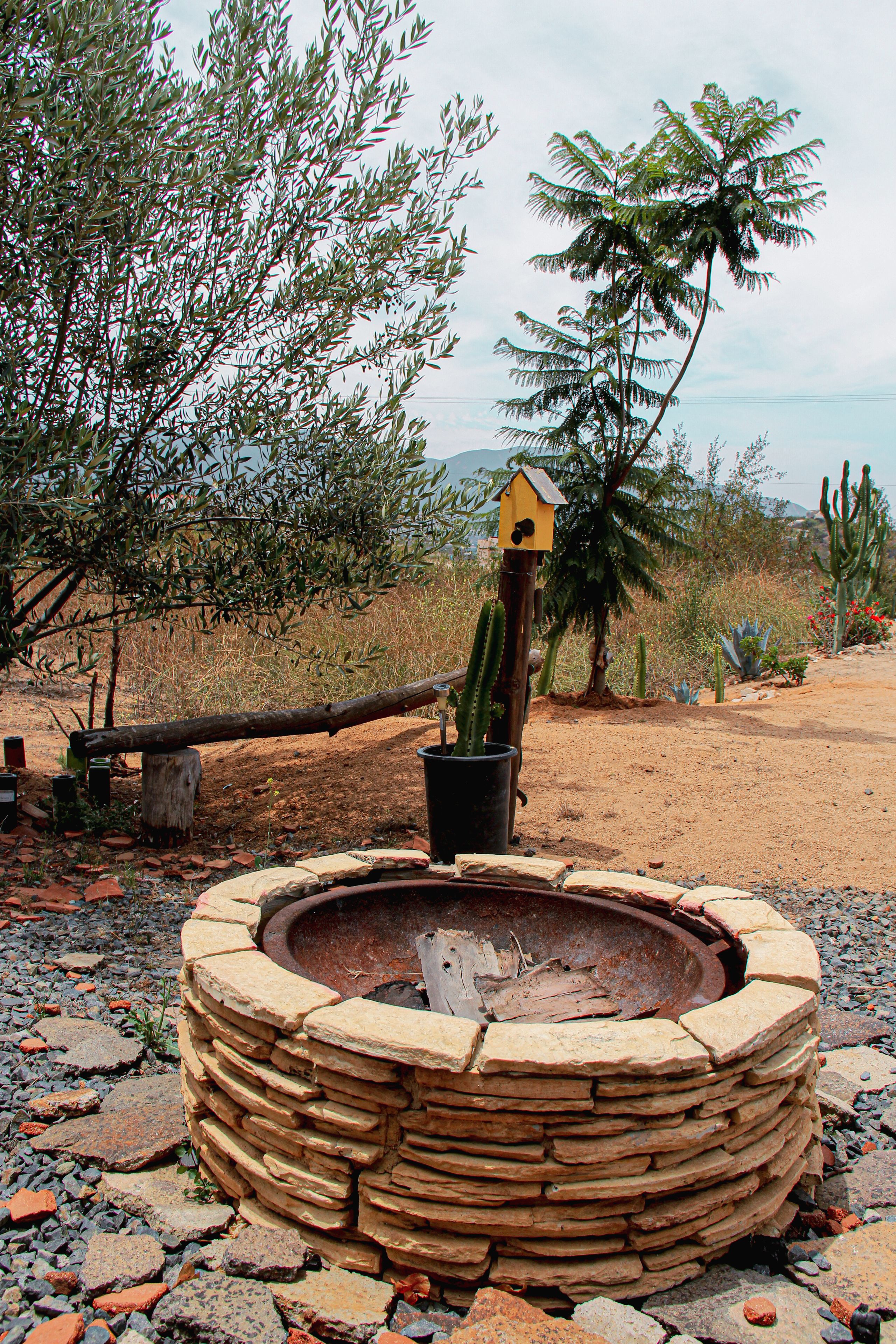 A circular stone fire pit with a birdhouse on top, surrounded by desert vegetation and a wooden bench.