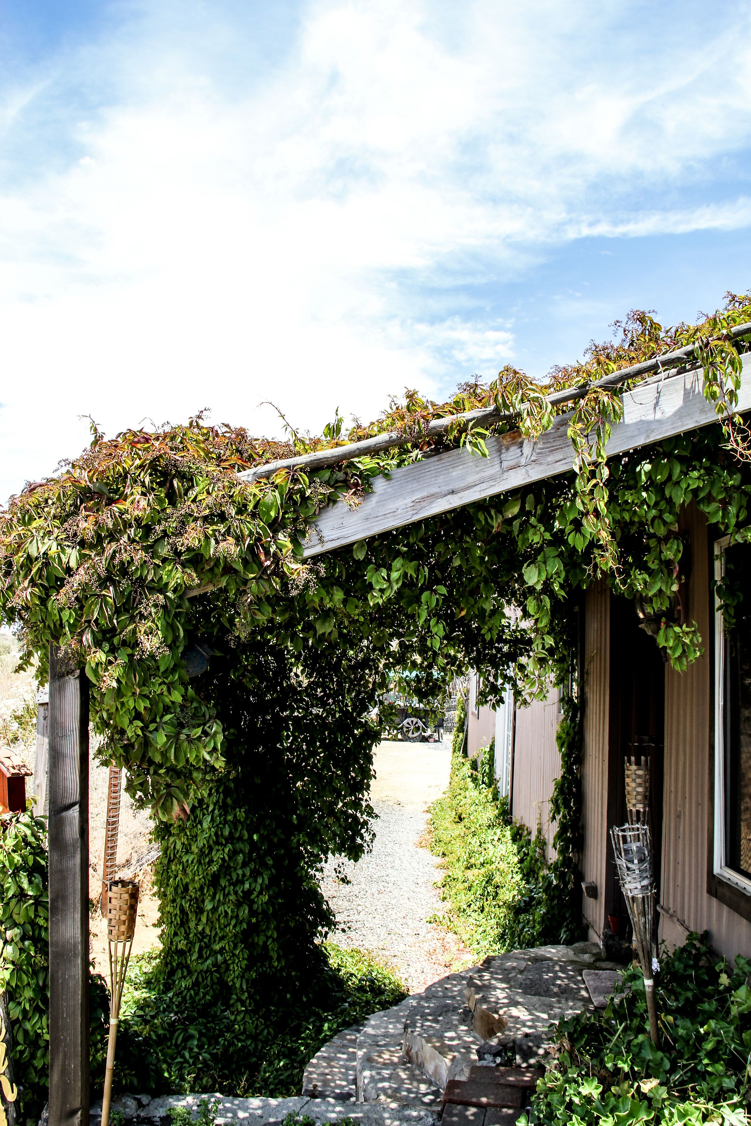 A narrow stone pathway leading to a wooden building with a covered entrance.
