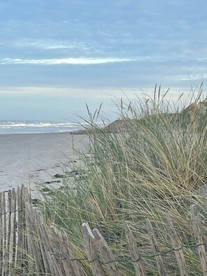 A beach with a wooden fence and tall grass in the foreground. - Gîte the pines near the Baie de somme / Marquenterre Park (Quend)