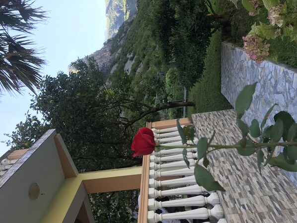 A balcony with a railing, a red flower, and a view of a lush green landscape with trees and a mountain in the background.