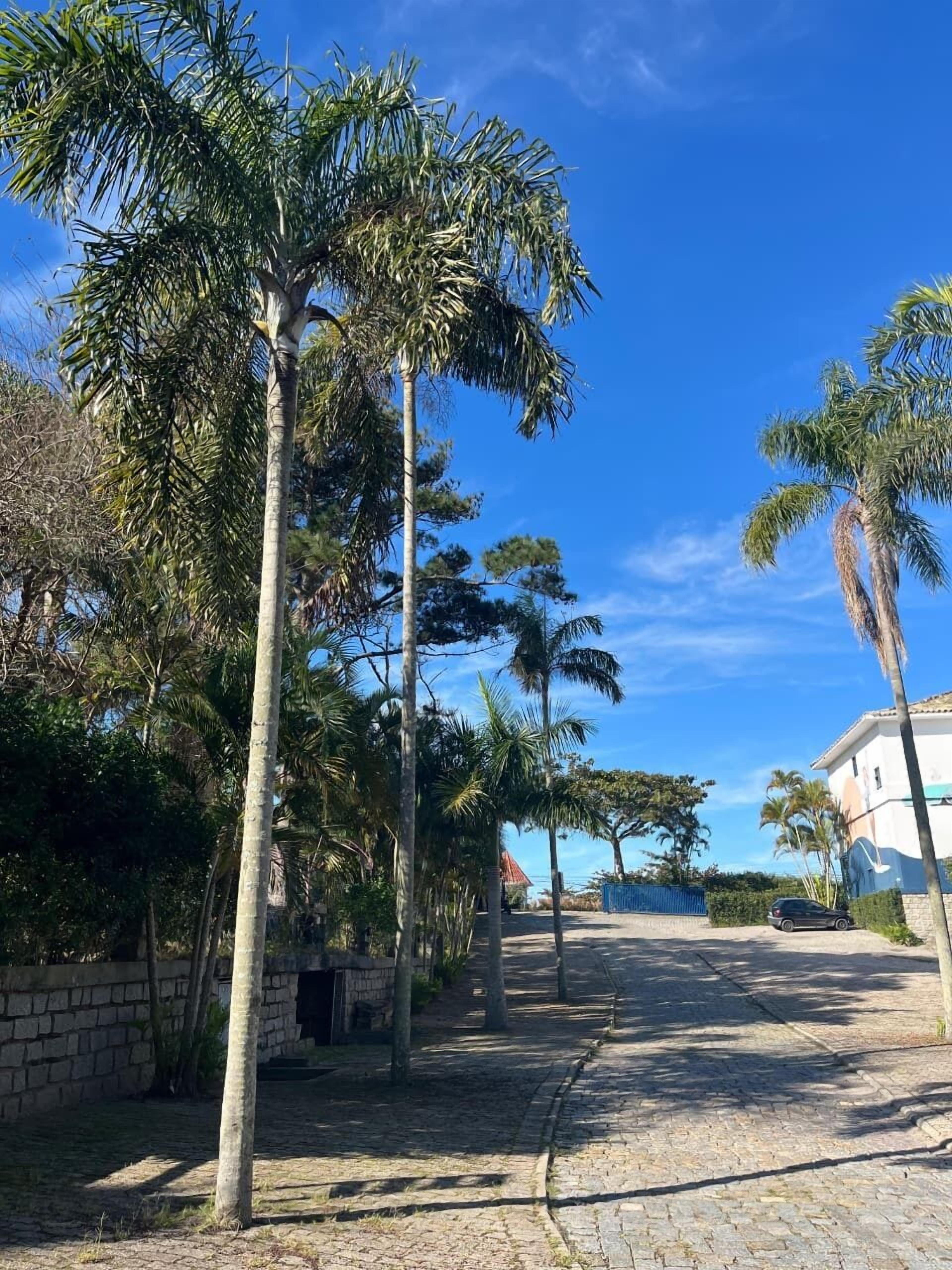 Photo - Residencial Cabanas da Praia Mole