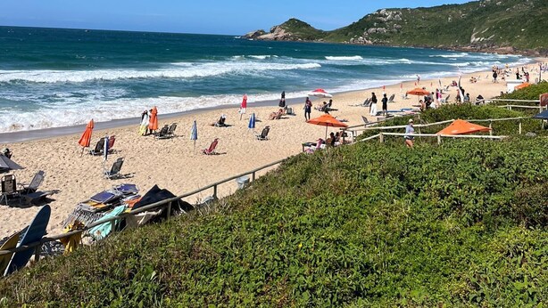 A beach with people, umbrellas, and chairs. - Residencial Cabanas da Praia Mole (Florianópolis)
