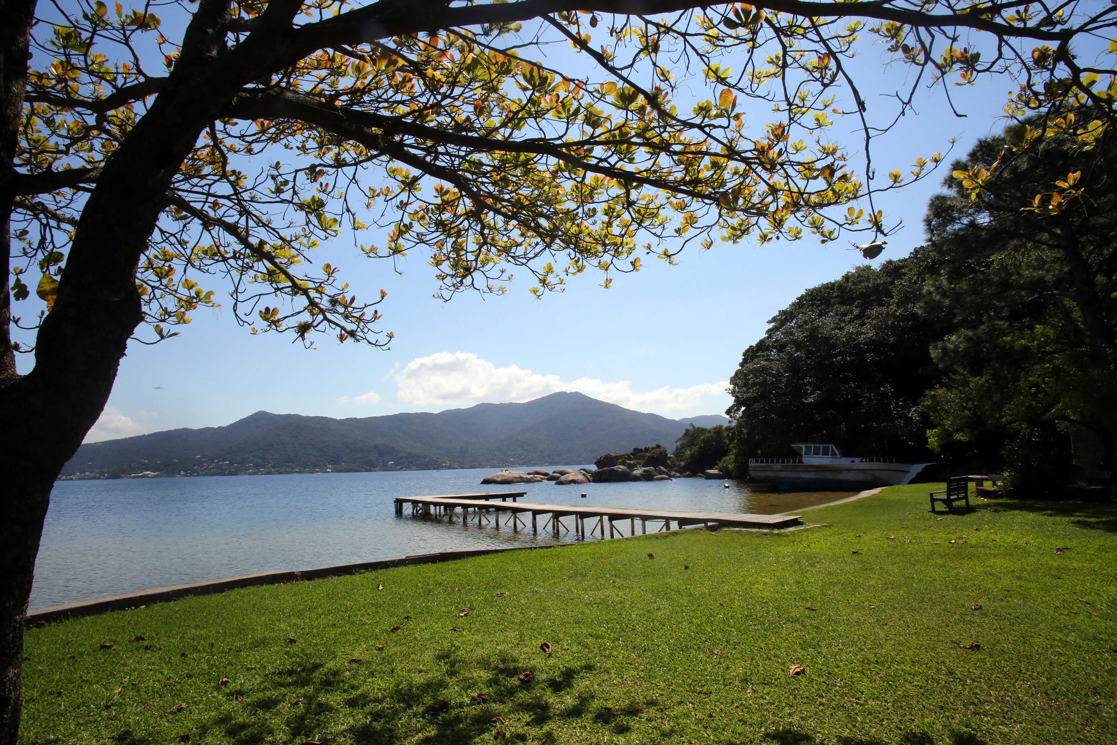 A lakeside view with a dock extending into the water, surrounded by grassy areas and trees.