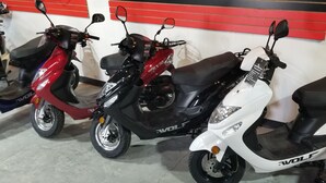 Living area - Hawg Scooters (Savannah)