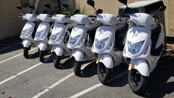 Exterior - Hawg Scooters (Savannah)