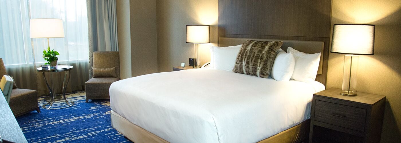 deluxe king non-smoking | 1 bedroom, egyptian cotton sheets, premium bedding, pillow-top beds