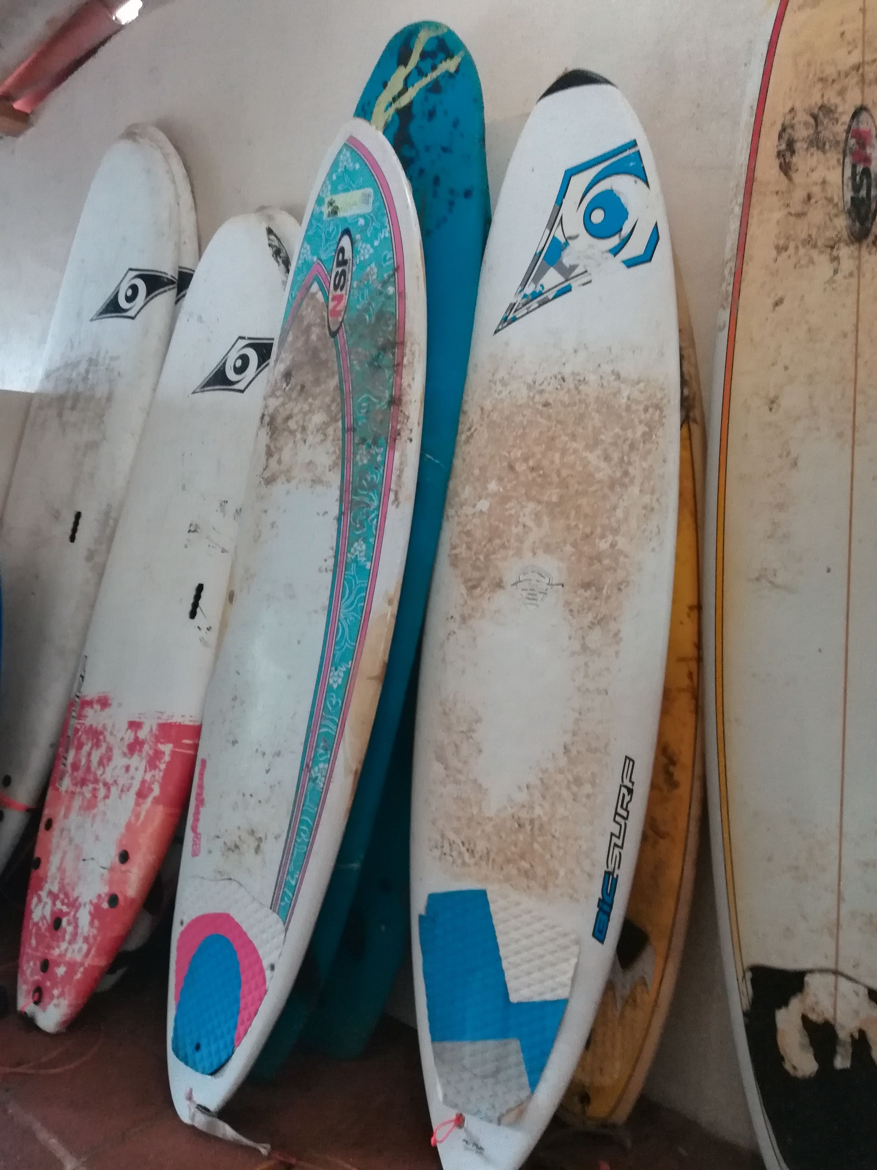 A row of surfboards leaning against a wall.