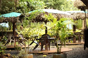 An outdoor seating area with thatched umbrellas, plastic chairs, and potted plants. - Tiki Lodge Bar & Restaurant - Hostel (Hicaco)