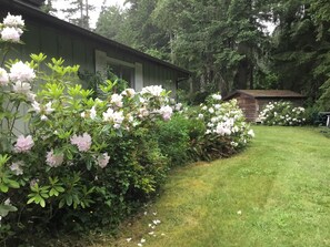 Property grounds - The cottage by the lake (Anderson Island)