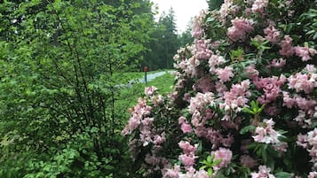 Boendeområde