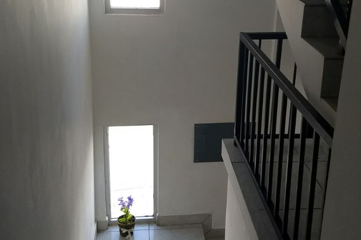 A staircase with a handrail, leading to a landing with a potted plant.