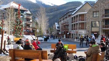 Condo (101_River_Run_Condos) | Exterior