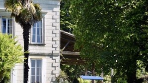 A poolside area with lounge chairs, a palm tree, and a house with a tiled roof. - Enjoy a relaxing stay (Fossès-et-Baleyssac)