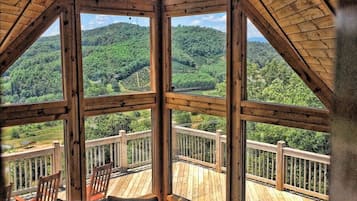 TV connectée, cheminée, lecteur de DVD, livres