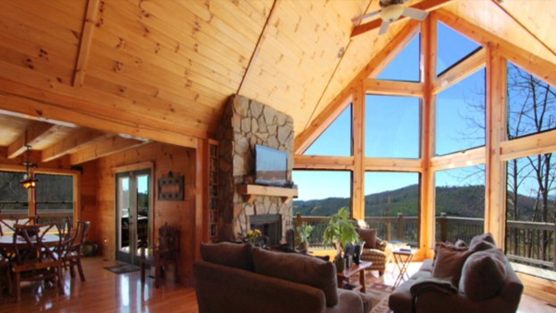 TV connectée, cheminée, lecteur de DVD, livres