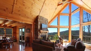 Smart TV, fireplace, DVD player, books