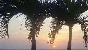 A sunset view with palm trees and the ocean. - Colonial townhouse in the Old City with panoramic ocean views (Cartagena)