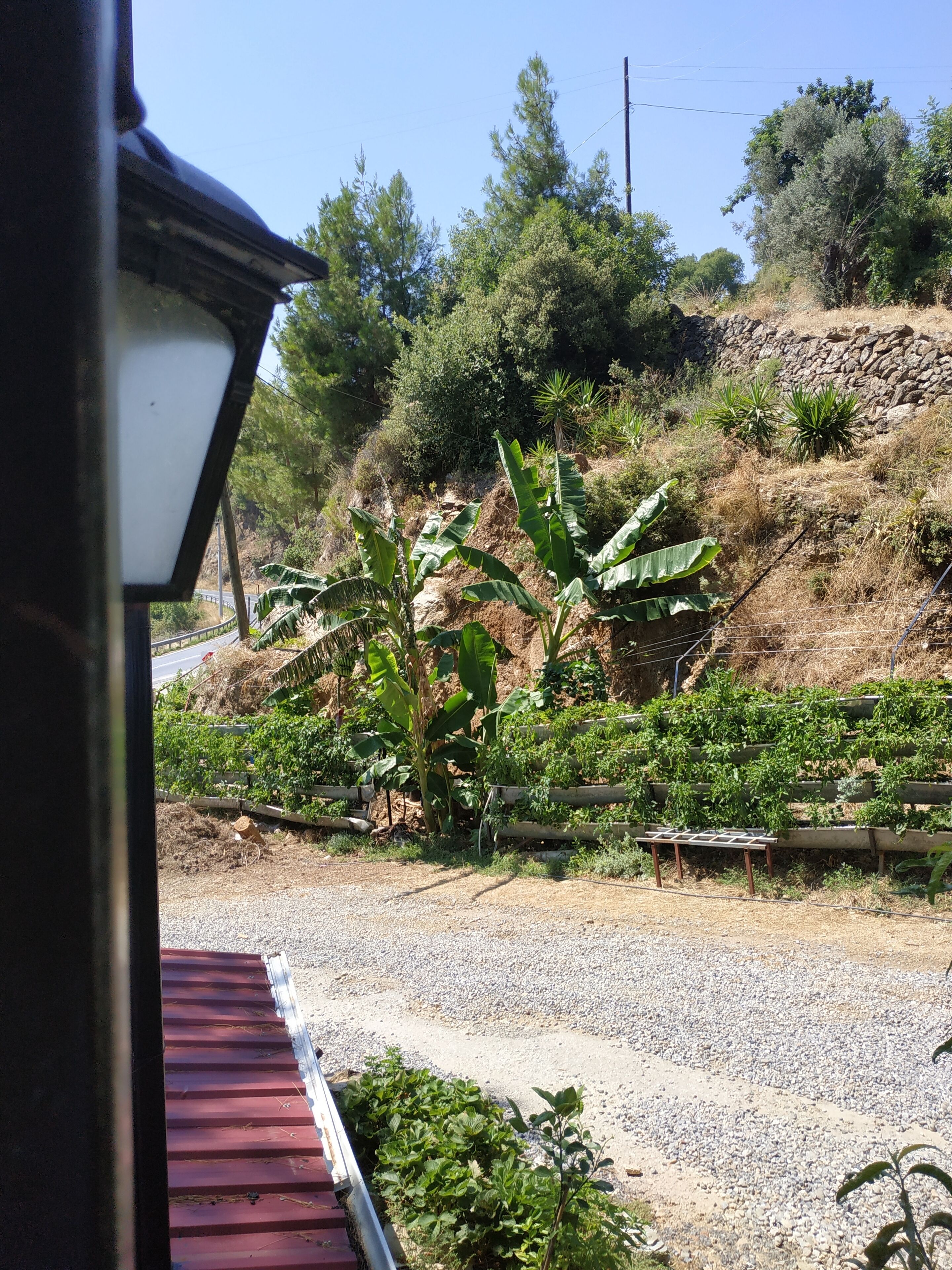 Un camino de grava con bordillo rojo, rodeado de vegetación y un muro de piedra.