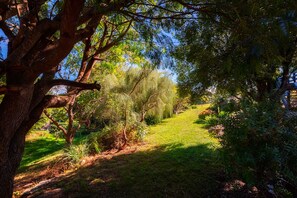 Jardín