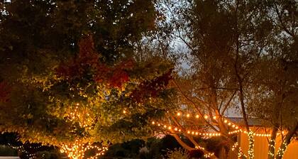 Campsite in the Beautiful Missouri Countryside