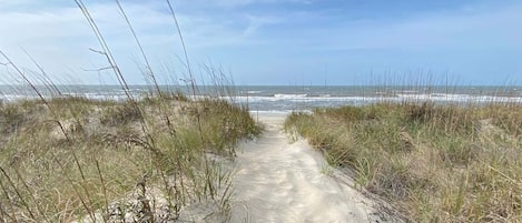 Una playa cerca