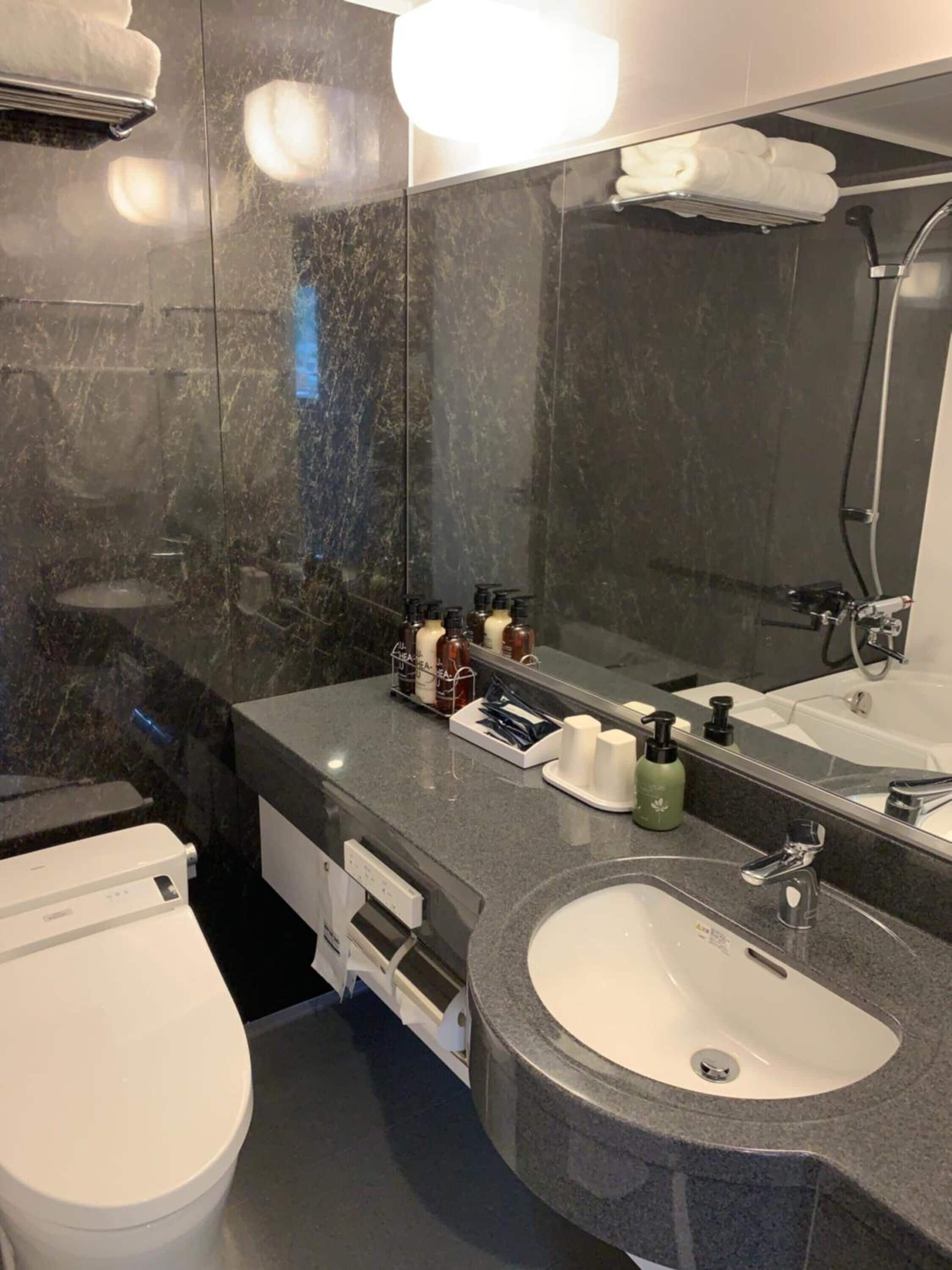 combined shower/bathtub, free toiletries, hair dryer, bathrobes