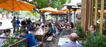 Sunny + Cozy Garden Studio in Trendy Culver City