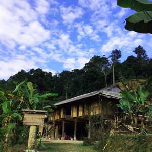 Standard Shared Dormitory, Mixed Dorm (14-Bed) | Free WiFi