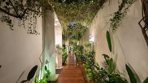 A narrow wooden pathway flanked by lush greenery and white walls, leading to a darkened area.